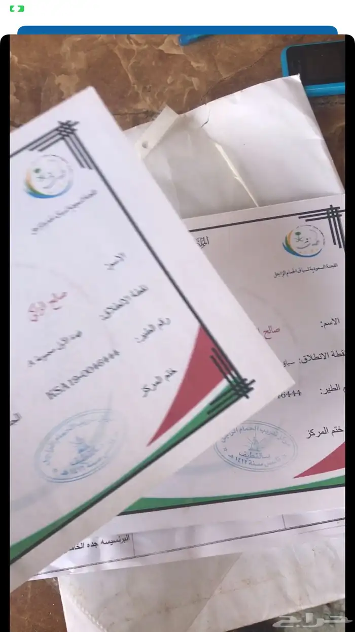 حمام زاجل سباق قوى شهايد نسب قويه معروفة 11