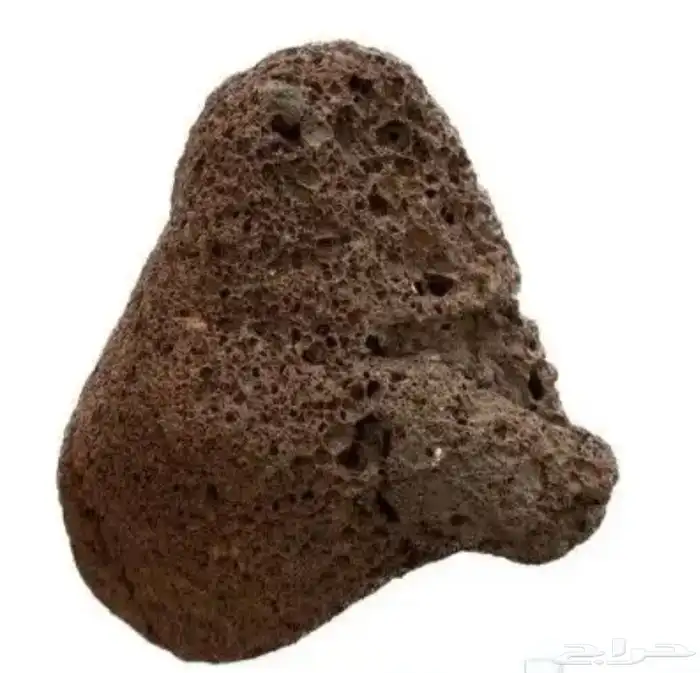 جريل برجر ماليزي 8