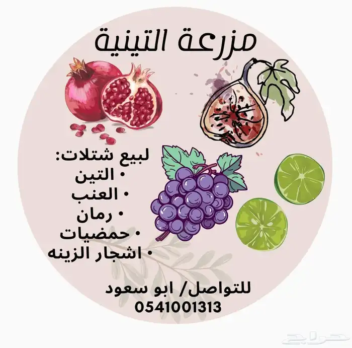 تين فاخر 1