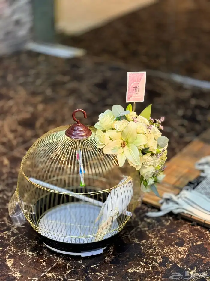 مندوب هدايا الرياض هدايا توصيل جميع أنحاء الرياض 3