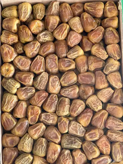 سكري القصيم مفتل 1