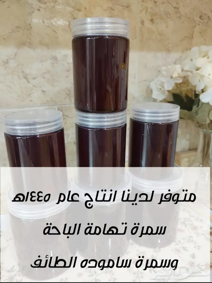 عسل طبيعي ونحل للبيع من مناحل السالم 9