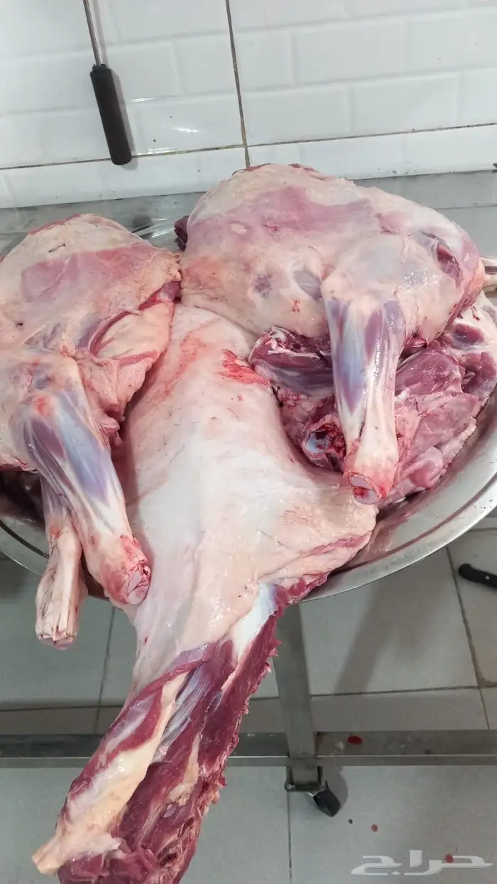 سواكني مرابي بيض تم البيع 2