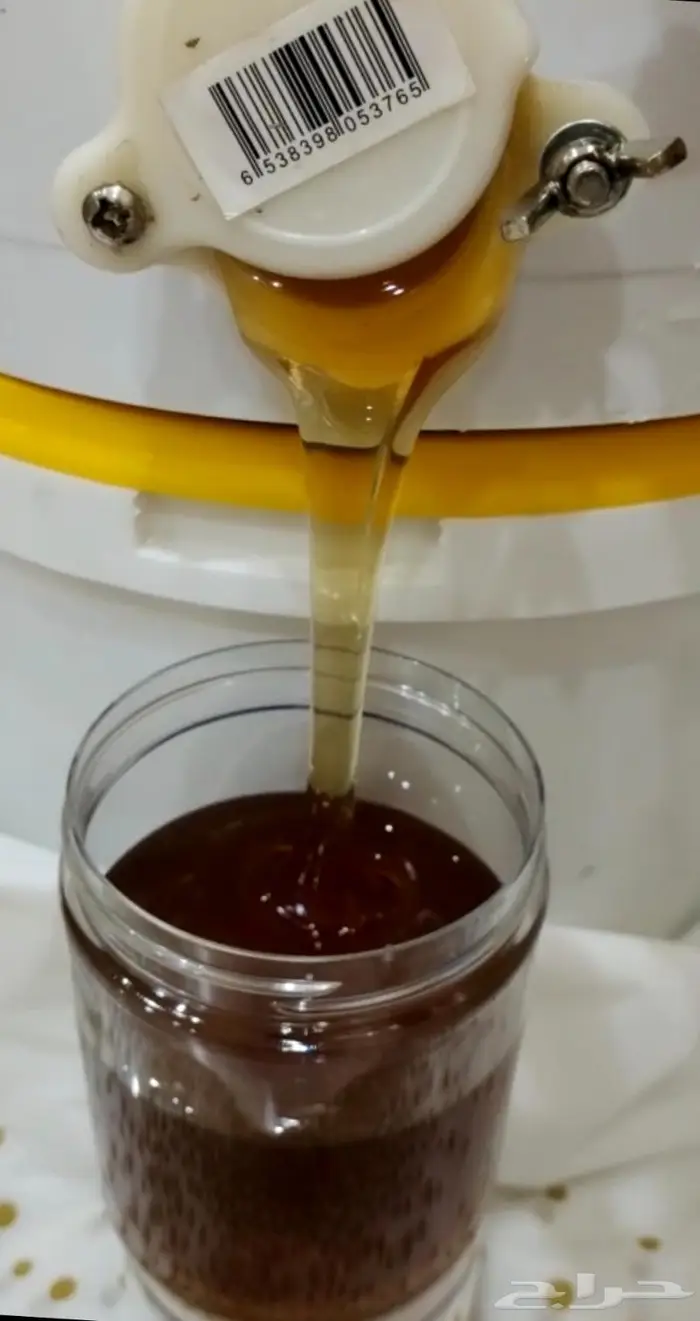 عسل طبيعي ونحل للبيع من مناحل السالم 8