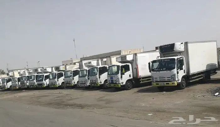 ثلج بكافة أنواعه - قوالب مجروش بلوري قالب بلور خرسانة أسماك 1