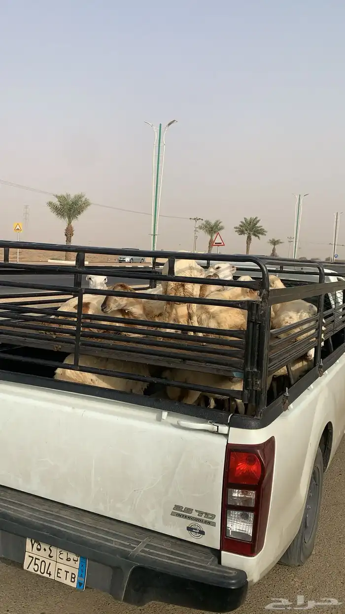 توصيل جميع المناطق 1