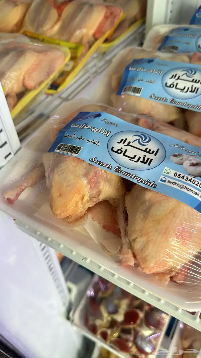 زغاليل حمام فرنسي بط سمان بيض بلدي ارنخضار مقطعه لوازم كشته 0