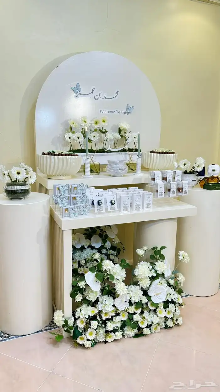 مدخل استقبال 2