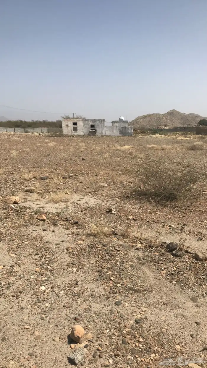 حوش كبير بعداد كهربه فيه بيت شعبي في الجائزة 3