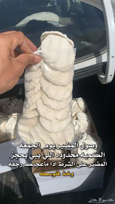 مضير - اقط - بقل على الشرط بقر 0