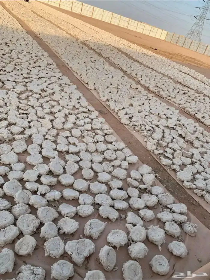 عجين علف حلال للبيع 8