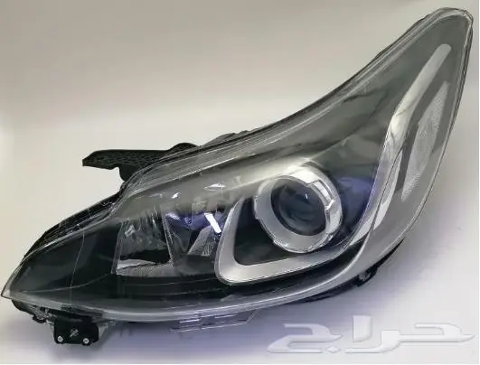 كبوت سبارك 2016 - 2022 4