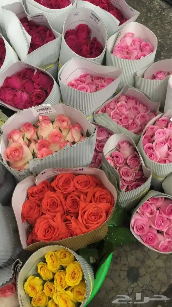ورود وهدايا وتنسيق 3