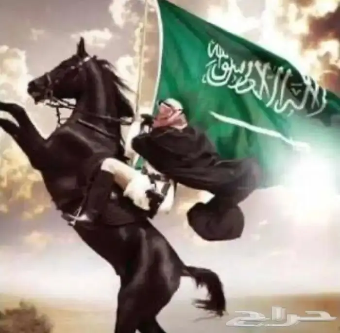 ايجار جمال وخيول في العلا 0