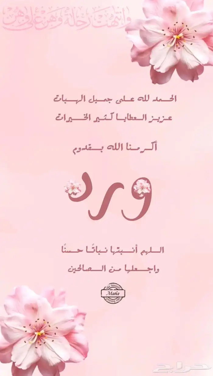 مصممه الكترونية 3