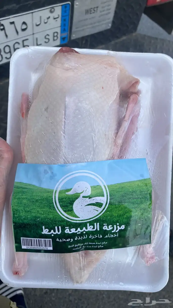 زغاليل حمام فرنسي بط سمان بيض بلدي ارنخضار مقطعه لوازم كشته 11