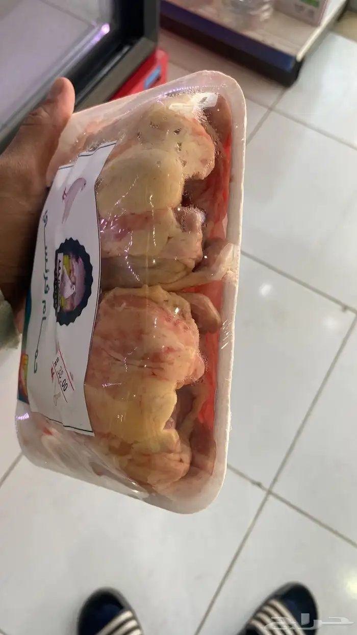 زغاليل حمام فرنسي بط سمان بيض بلدي ارنخضار مقطعه لوازم كشته 7