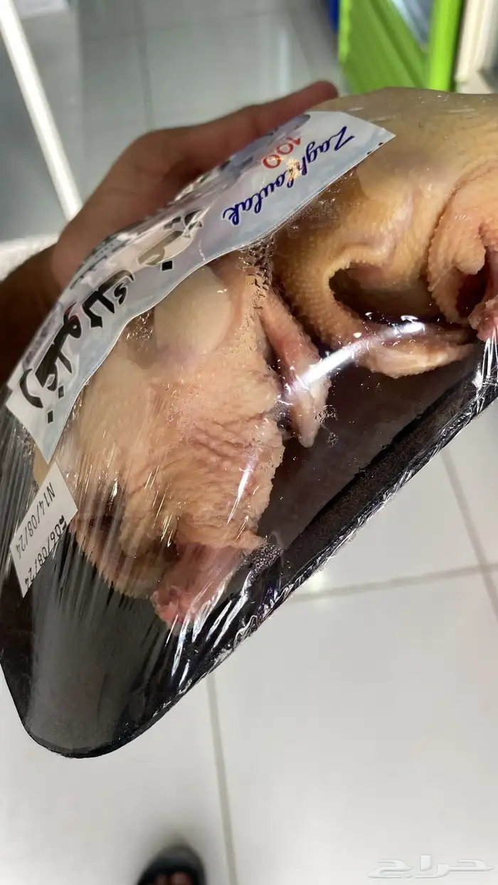 زغاليل حمام فرنسي بط سمان بيض بلدي ارنخضار مقطعه لوازم كشته 2