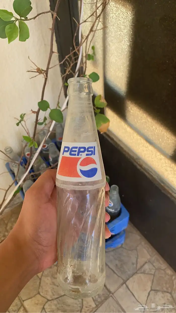 قزاز ببسي 2
