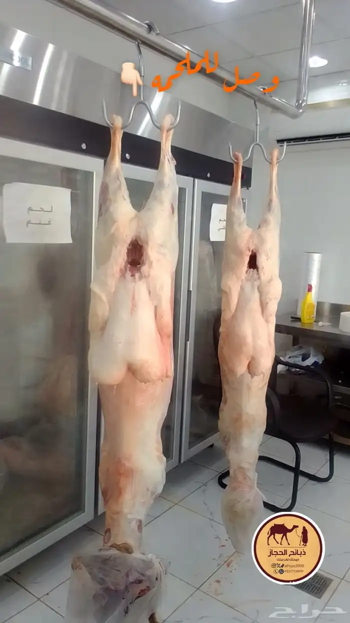 ملحمة ذبائح الحجاز - مخطط البدراني -بجوار صيدلية المجتمع 4