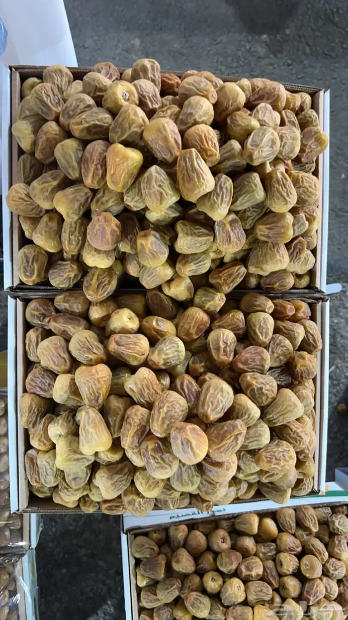 عرض على تمر سكري مفتل فاخر 1