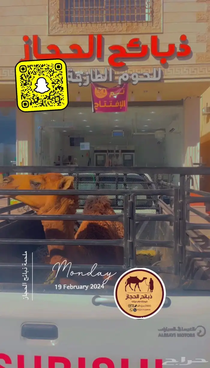 ملحمة ذبائح الحجاز - مخطط البدراني -بجوار صيدلية المجتمع 22