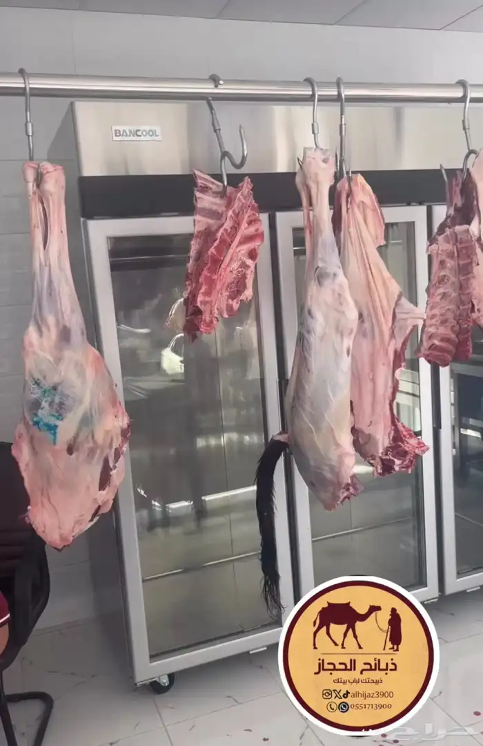 ملحمة ذبائح الحجاز - مخطط البدراني -بجوار صيدلية المجتمع 21