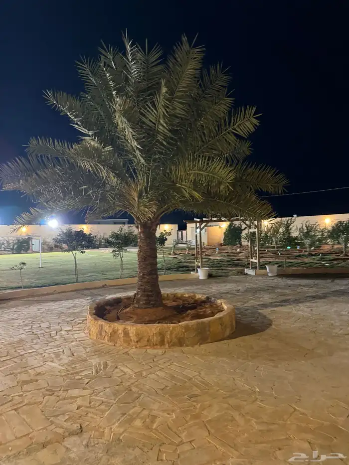 استراحة الدانة الاحمدية مخطط الثنيان 1