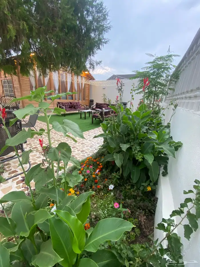 اكواخ تنومة الريفية 8