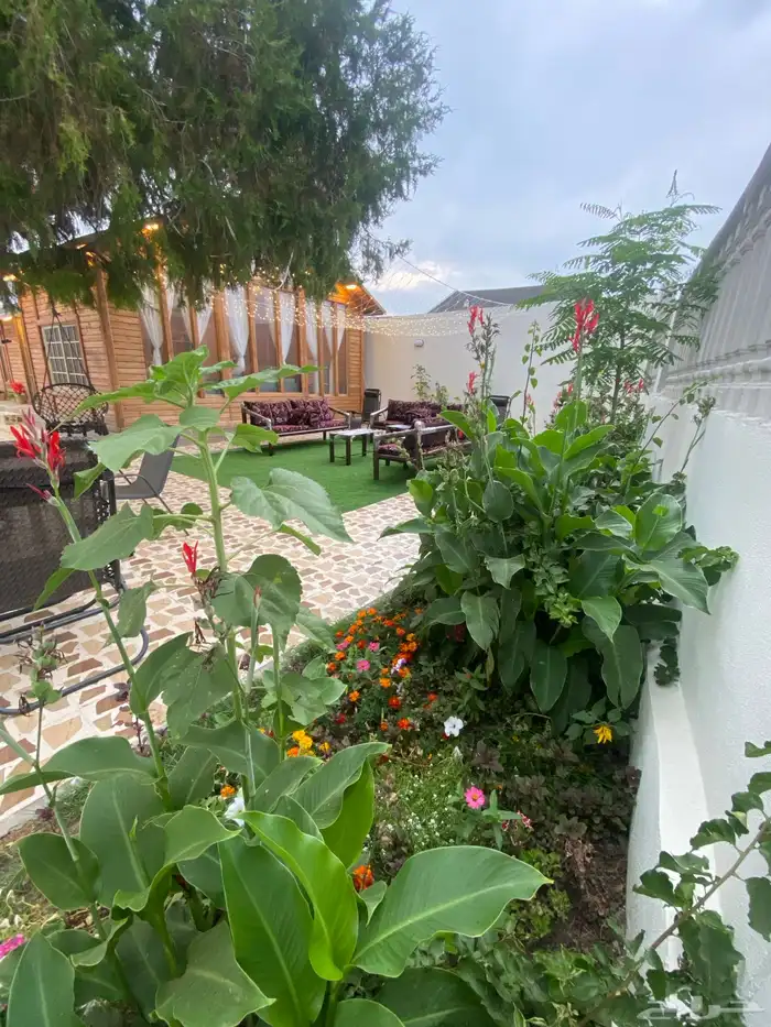 اكواخ تنومة الريفية 9