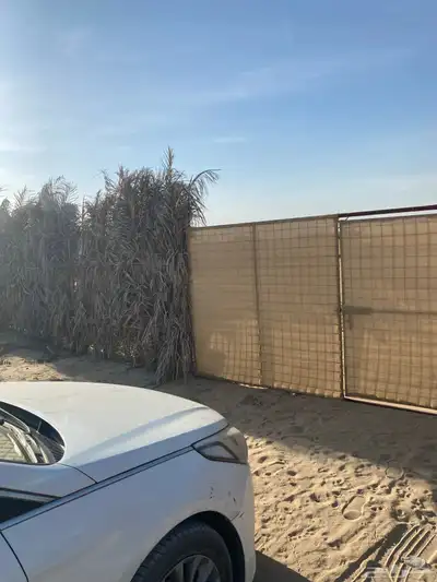 كامري 8