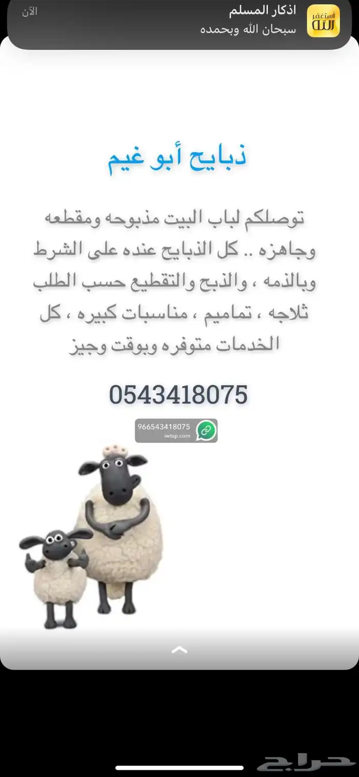 ذبايح بريه 0