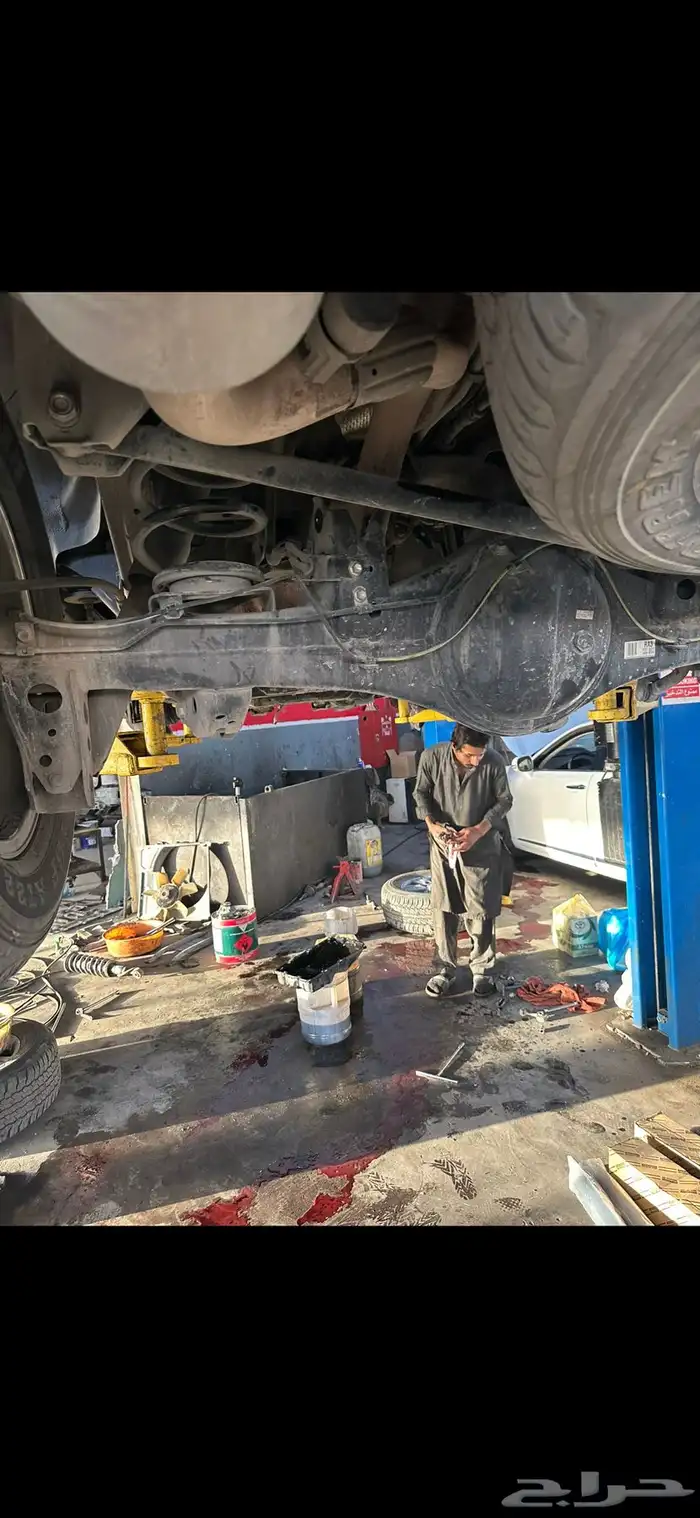 جلد استراليه للفتك 6