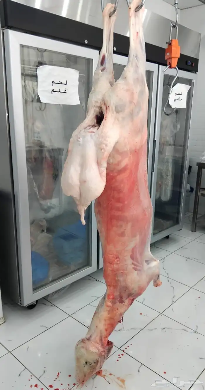 ملحمة ذبائح الحجاز - مخطط البدراني -بجوار صيدلية المجتمع 2