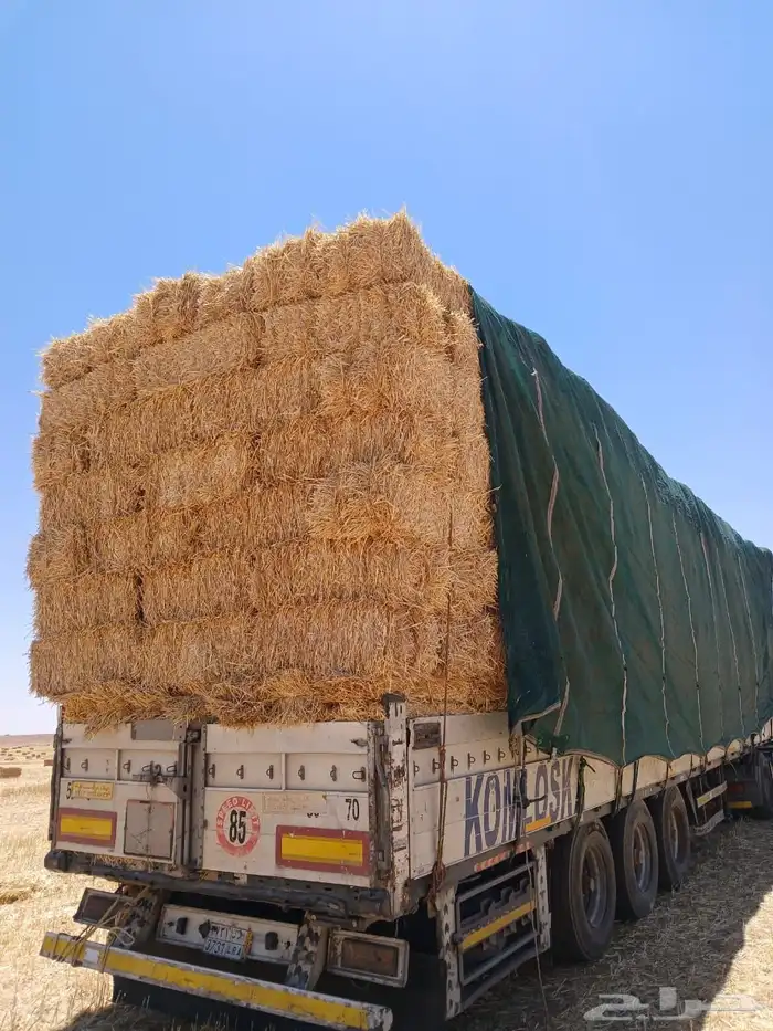 تبن بر شدطيب الدفع عند الوصول 2