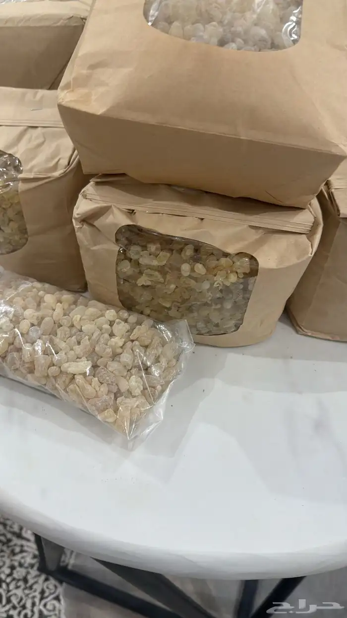 لبان حوجري ذكر درجة أولى ممتازة 0