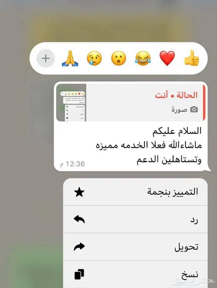 أفضل مؤسسة بمجال النقل الجامعي ونقل الطالبات 5