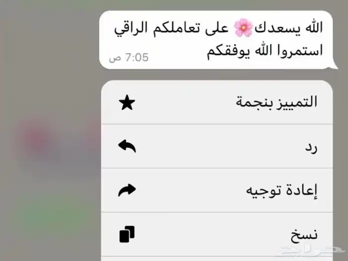 أفضل مؤسسة بمجال النقل الجامعي ونقل الطالبات 15
