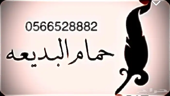 حمام فرنسي 2