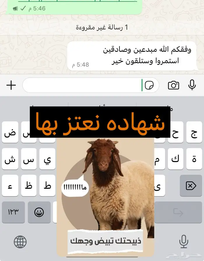 ذبائح مع خدمة الذبح و التوصيل والتغليف 11