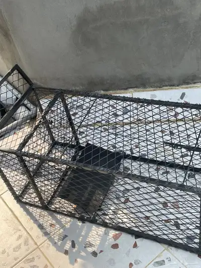 مصيده 1