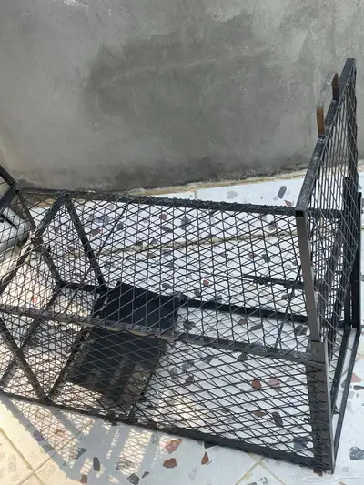 مصيده 4