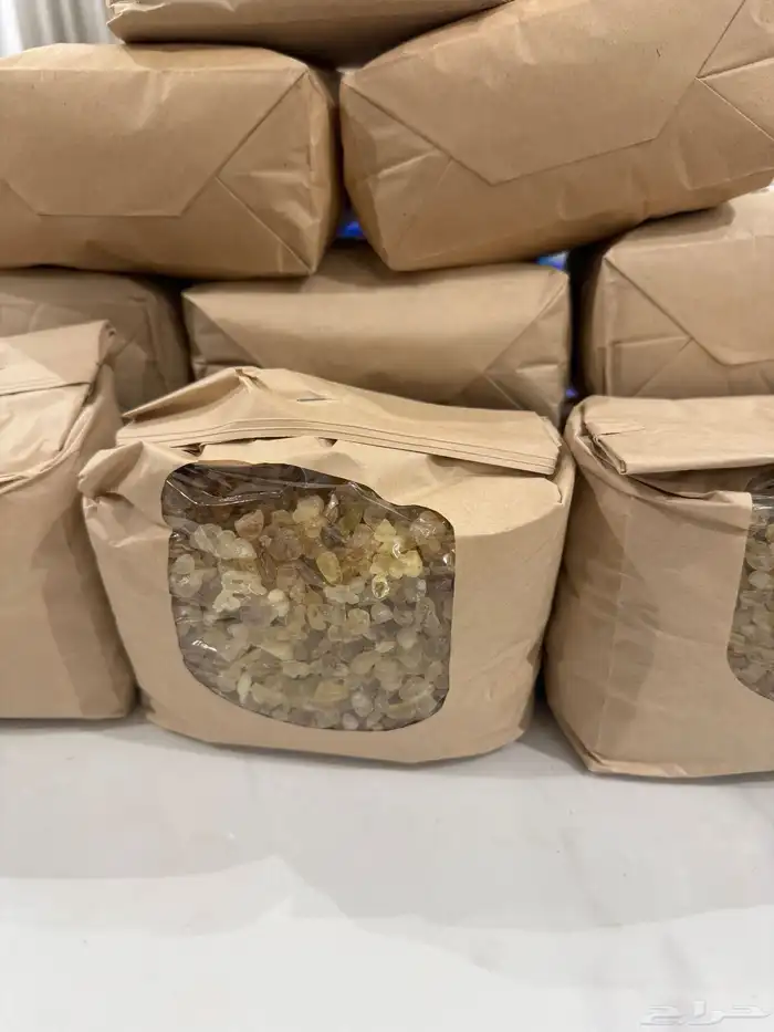 لبان حوجري ذكر درجة أولى ممتازة 2