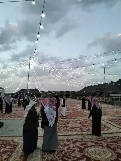 شبكه الأفراح للحفلات 7