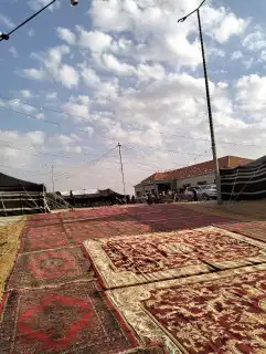 شبكه الأفراح للحفلات 5