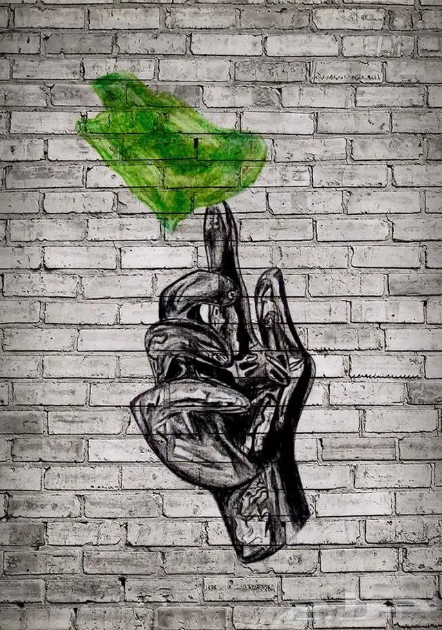 جرافيتي رسم على الجدار جداريات واخرى 2