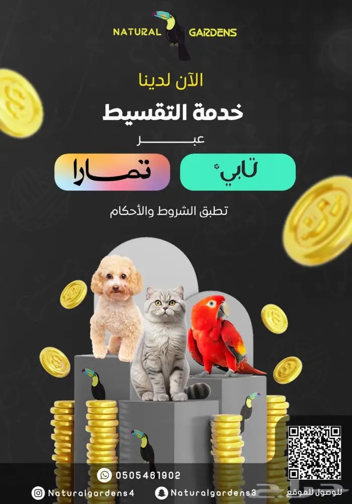 اكيتا Akita لعشاق التميز 9