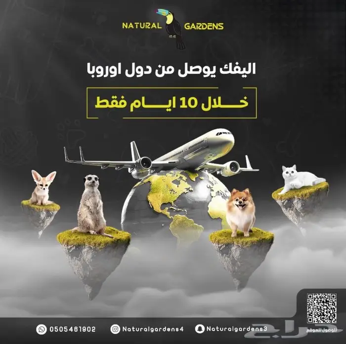 اكيتا Akita لعشاق التميز 6
