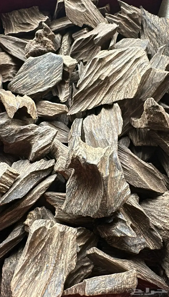 عودة 4