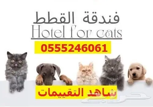 فندقة قطط طيور 6061 24 0555 إستمتع بإجازتك والباقي علينا 3